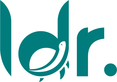 ldr connect